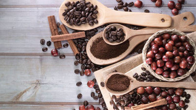 What is the difference between Robusta and Arabica coffee beans?