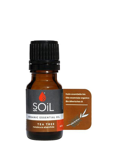 Soil Tea Tree Essential Oil - Kikos Coffee & Tea